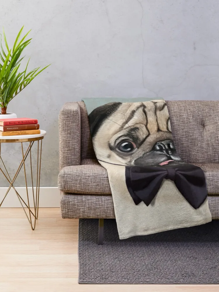 Mr Pug ���,  ��� ���� ���