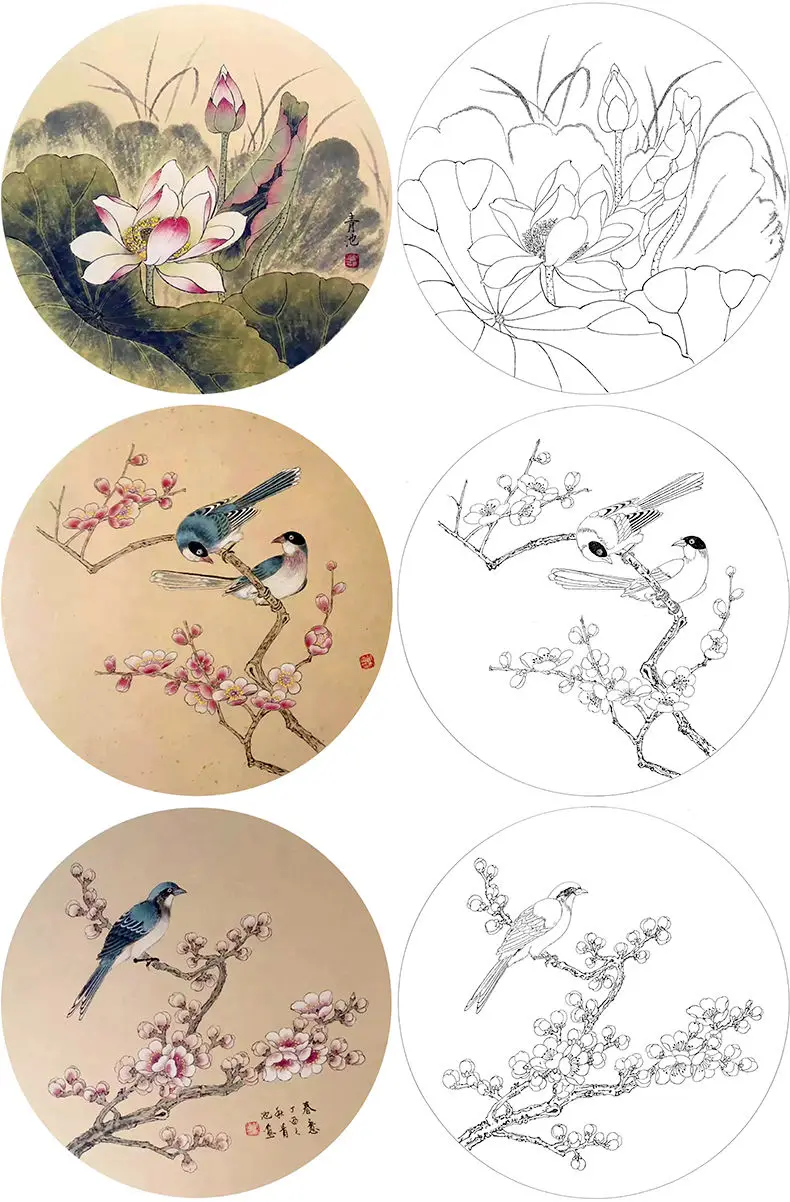 Sorgfältiges Gemälde, runder Fächer, Strichzeichnung, Anfänger, Strichzeichnung, Druck, Manuskript, Papier, traditionelle chinesische Malerei, Blumenvogel – Detail 2