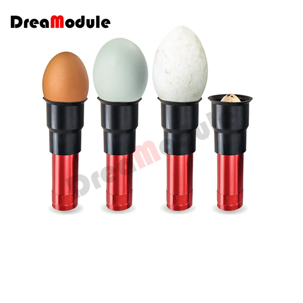 Chicken Eggs Hatching Accessories Chicken Light Eggs Chickens