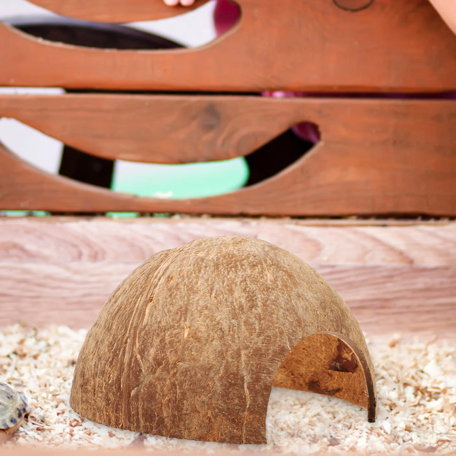 Coconut Hideout House Leopard Gecko Humid Hermit Crab Habitat Shells Hut Turtle - Image 6