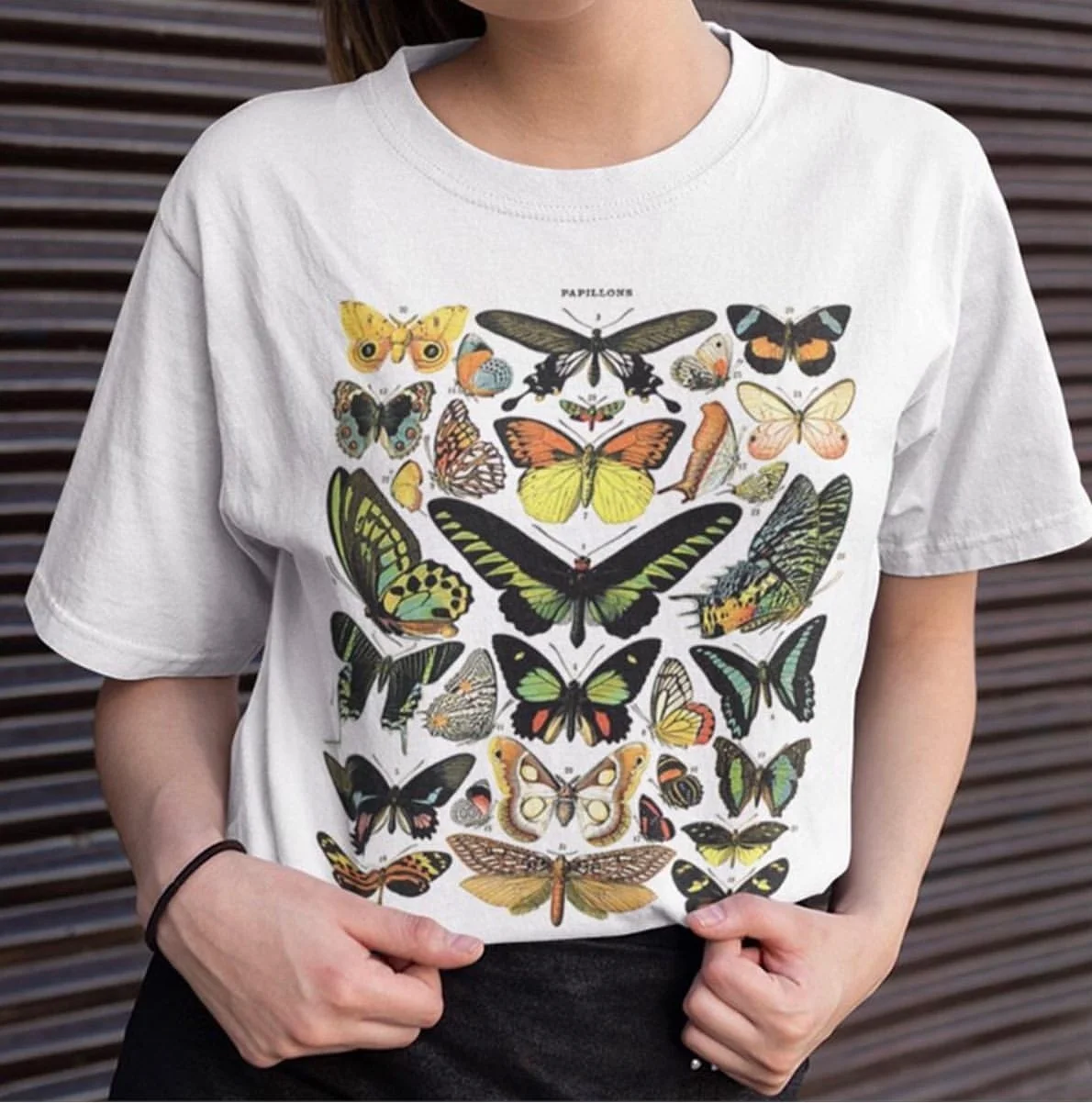 

1PCS White and Grey Tees Protect Papillons, Vintage Butterfly Shirt, Butterfly Poster T-shirt, Nature Botanical Drawing
