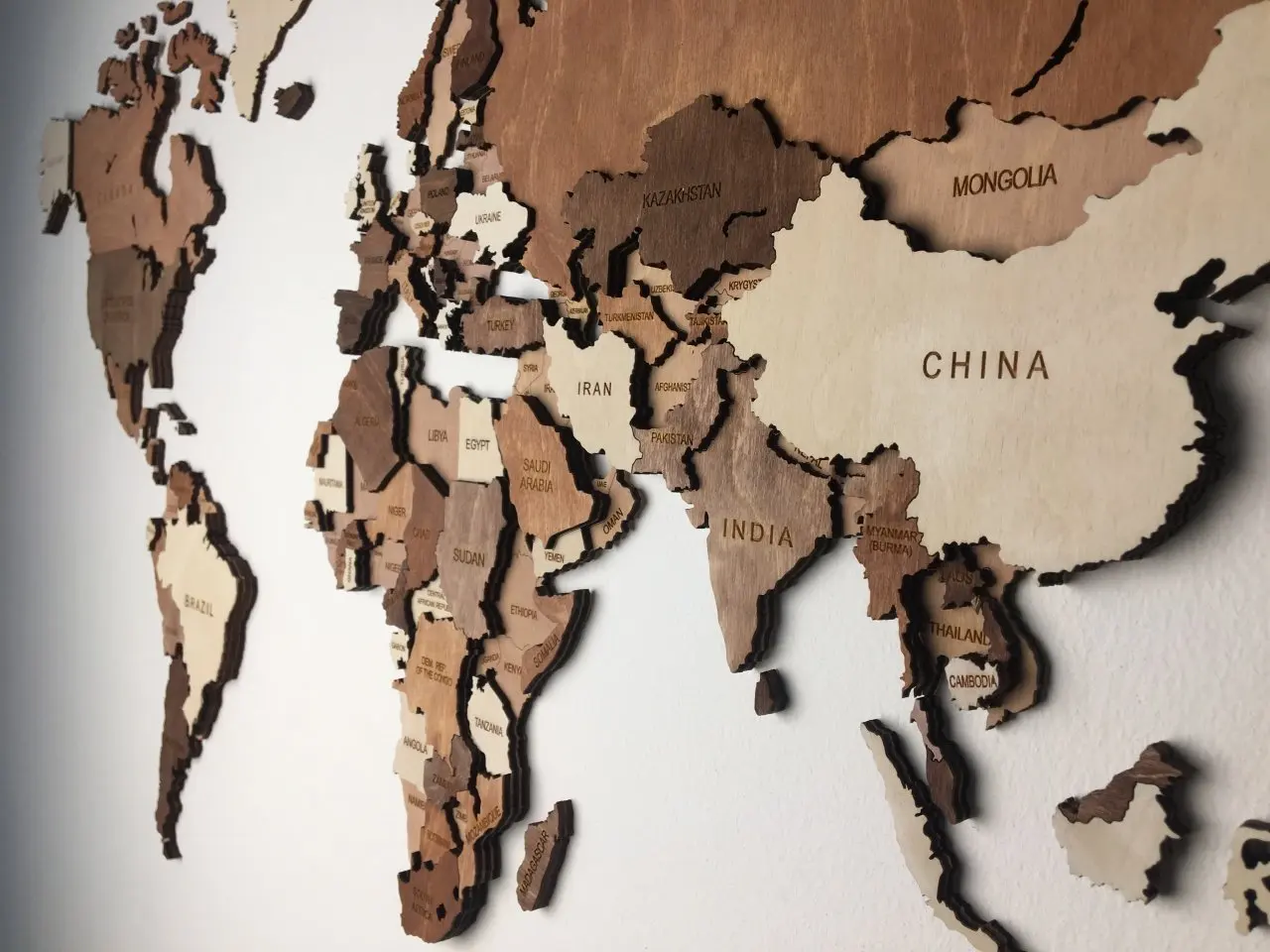 Wooden World Map