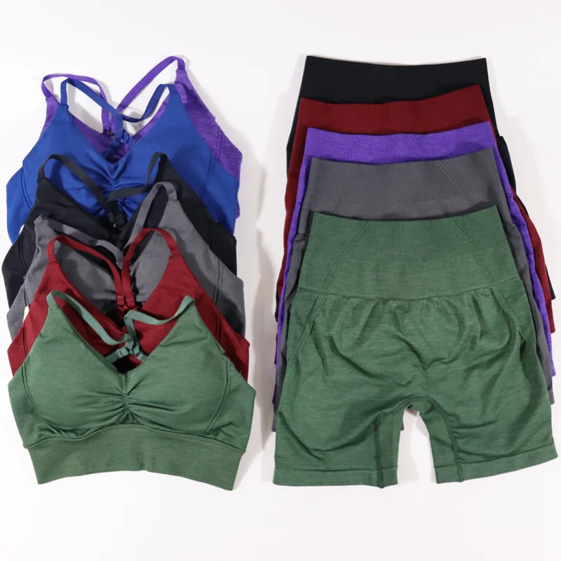 Seamless Gym Sets Bodysuit Elastic Fitness Sports Suits Gym bra+shorts Women Workout Clothing