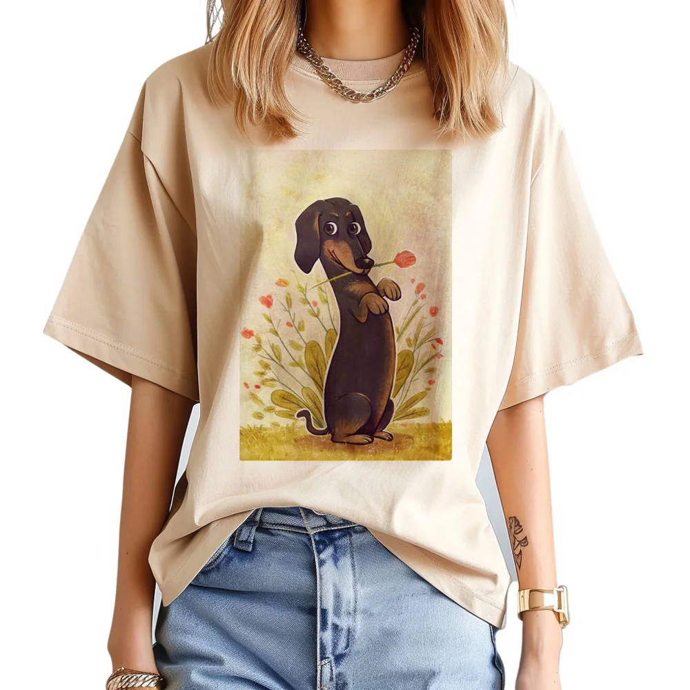 

Dachshund