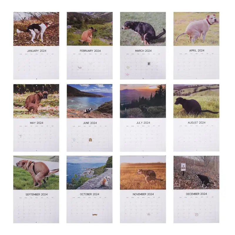 Dogs Pooping Calendar 2024 Dogs Pooping In Beautiful Places 2024 New Calendar 12 Months 2024 New Desk Calendar For Bedroom - AliExpress