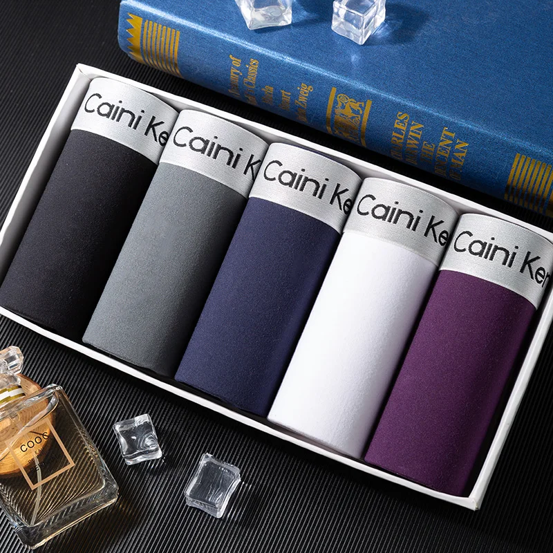 5pcs boxer shorts homem cueca masculina boxer roupa interior de algodão para o sexo masculino casal sexy conjunto grande tamanho lote macio