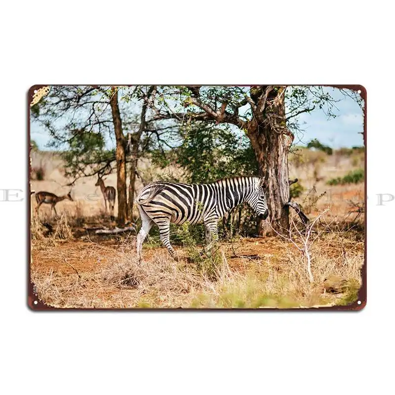 

Zebra And Friends Metal Sign Funny Decoration Club Designer Mural Tin Sign Poster