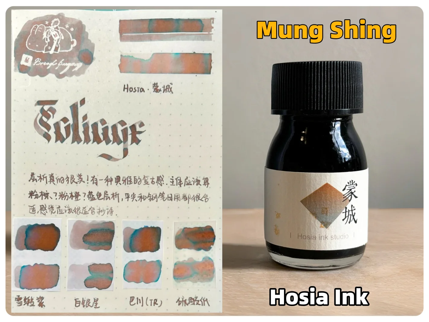 호시아 크로마토그래피 쓰기, 드로잉 잉크 30ml