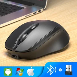 Beechip Rechargeable Silent Bluetooth Ergonomic Mouse (Black)