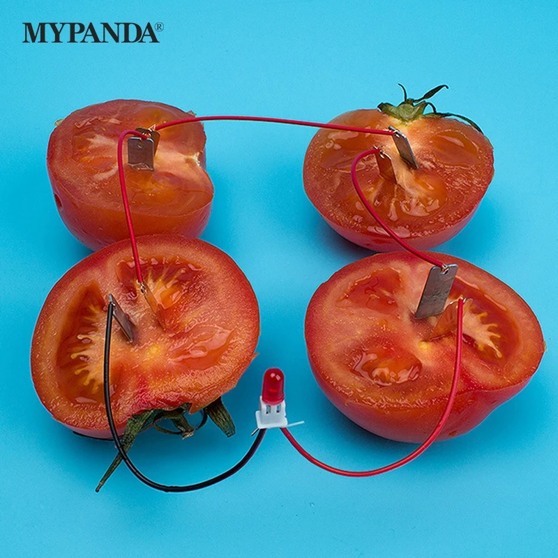 1 набор, Детский развивающий набор для биологической энергетики 1 набор, Детский развивающий набор для биологической энергетики