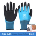 Summer M Blue