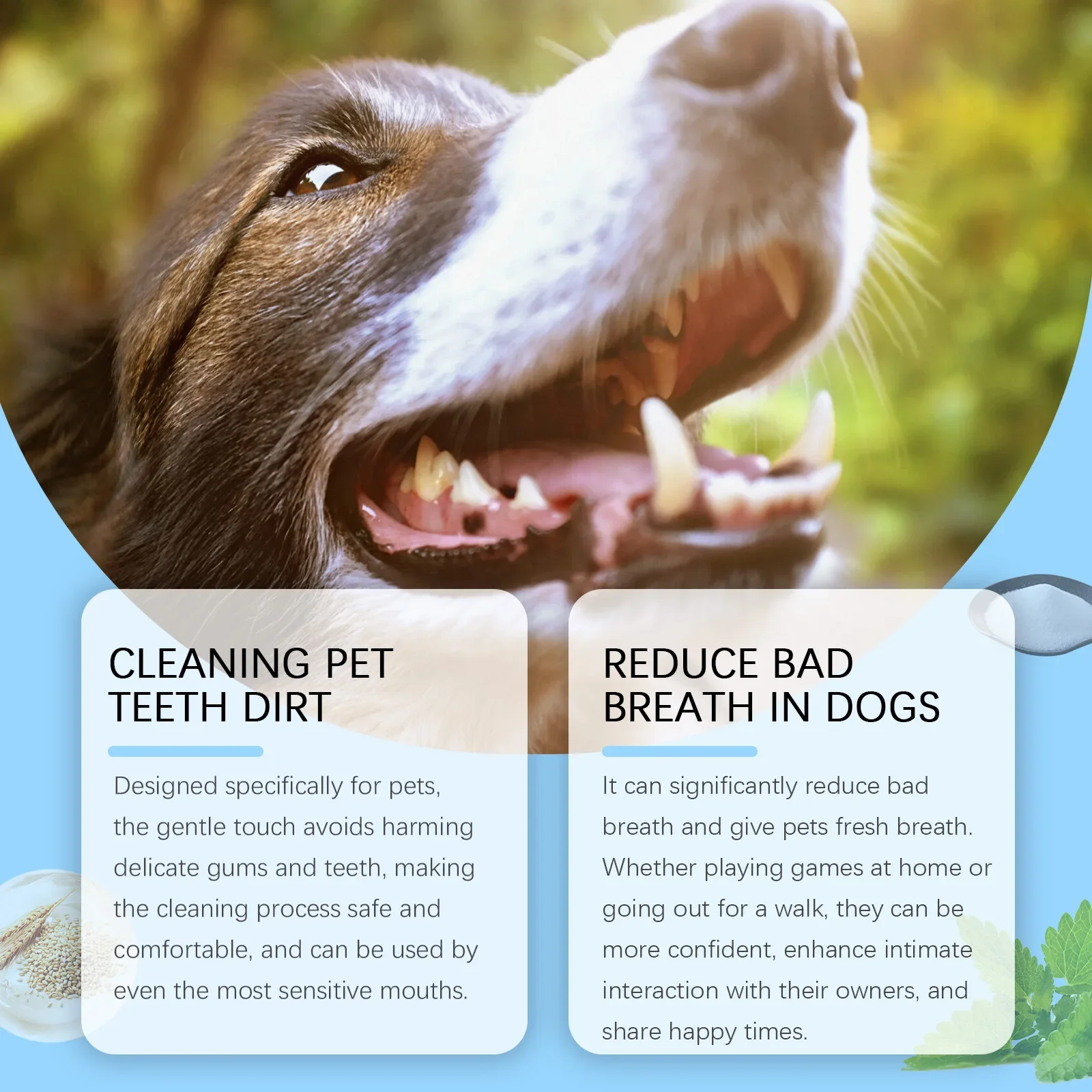 Yegbong's New Pet Toothbrush, Gentle Care, Fresh Breath, Clean Mouth, Odor, Pet Tooth Cleaning Pen