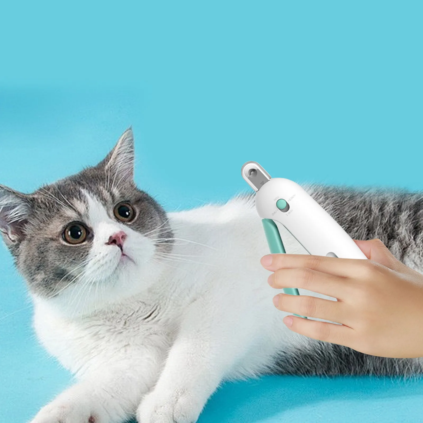 Dog Combs for Grooming Long Hair Cat Nail Clipper With Adjustable Aperture Dogs Nail Trimmer With 4 Gears & Dog And Cat Combo