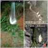 1Pcs Multi Size Fishing Net Trap Mesh Luminous Netting Fishnet Tackle Design Copper Spring Shoal Cast Nets For Fishing Traps 3