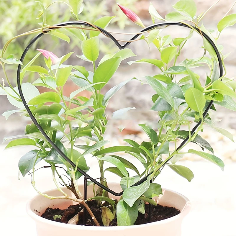 

Подставка для растений в форме сердца, железная стойка для подъема растений в саду, 1 шт.