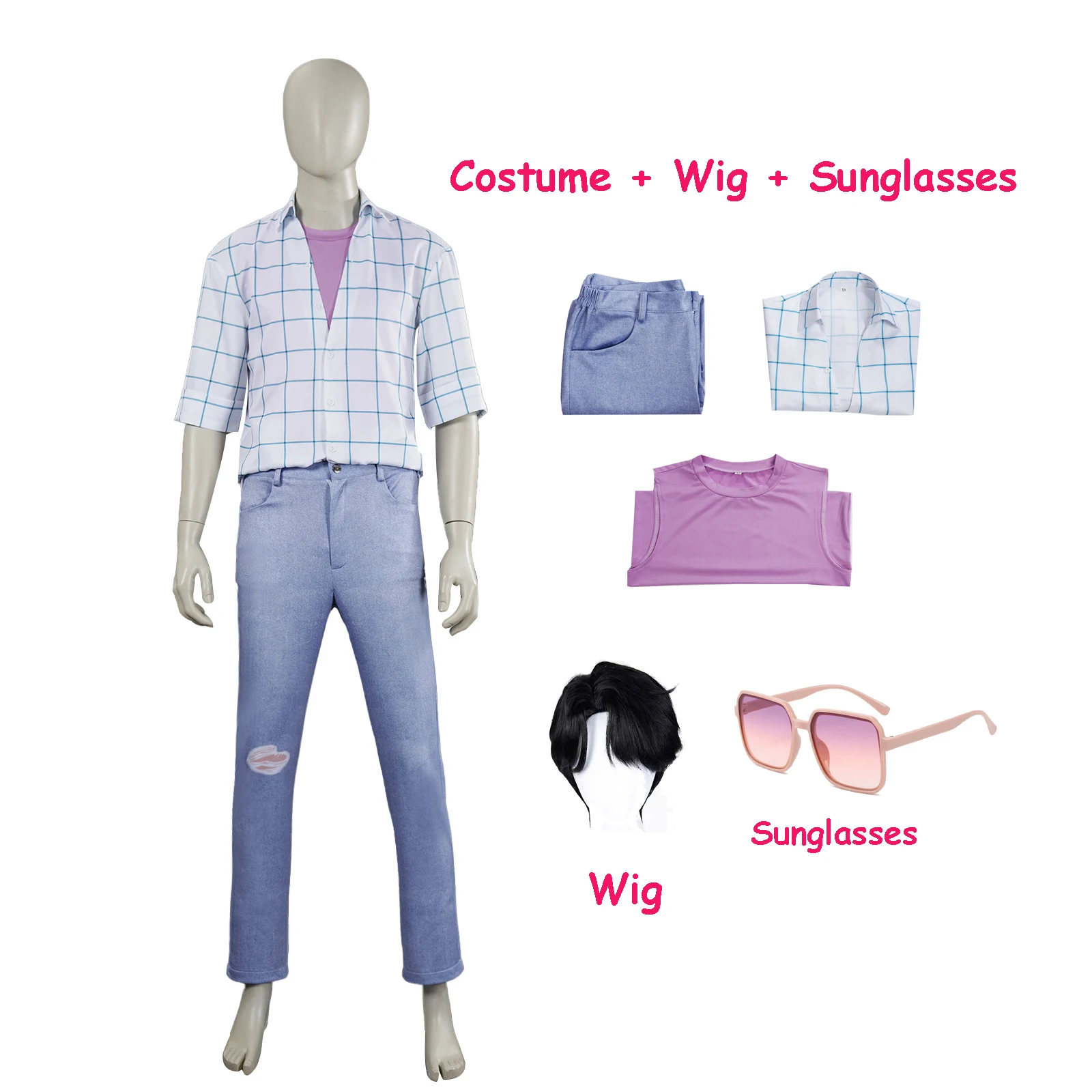 Costume Wig Sunglass