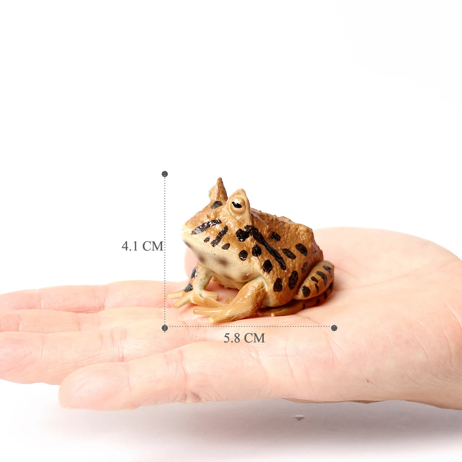 Realistische Kunststoff Regenwald Waldtiere Spielzeug Ochsenfrosch Baumfrosch Pacman Frösche Modellfiguren Garten Blumentopf Pflanzen Dekor – Detail 18