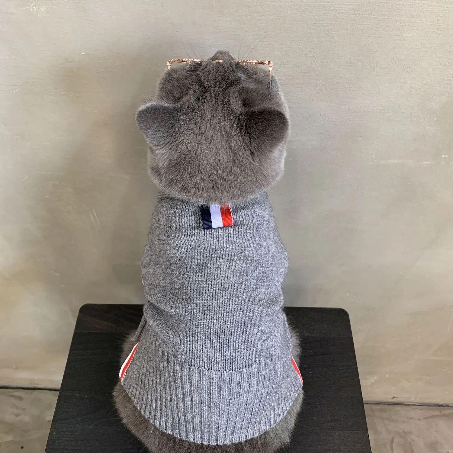 반려동물 귀여운 가디건 강아지 고양이 스웨터, 테디 프리즈 워머, 소형 중형 스웨터, 코트 재킷, 가을, 겨울 패션
