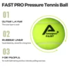 AMASPORT Tennis Balls Practice Training Pressureless High Quality Durable Bouncy Balls for Beginner Tennis Sport 5