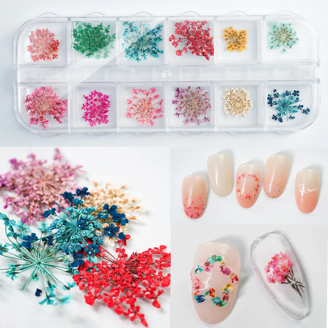 

Mixed Nail Art Dried Flowers Flowers Dry Natural Floral Nail DIY Decorations Press on Nails Parts Charms Accessories Designs