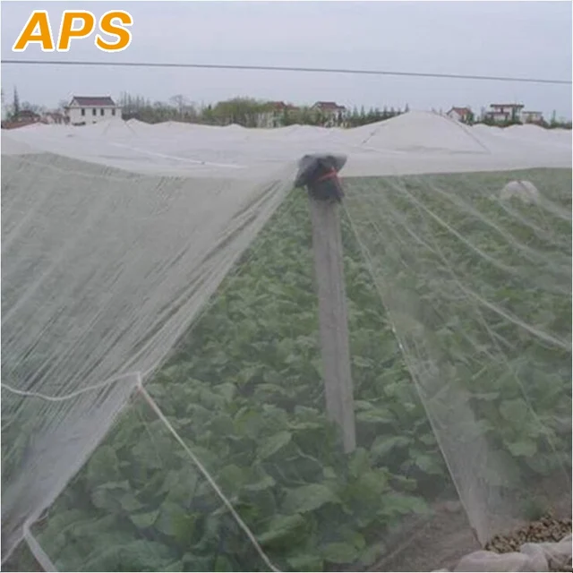 80Mesh Rovarháló Gyümölcsfák Kártevőirtó Növények Védelmi Borító Pe Nylon Nettó Szúnyog Levéltetvek Kártevő Visszautasító Ismételt - Image 5