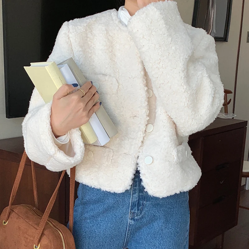 Korea Chic Autumn and Winter Temperament 2023 New Round Neck Single-breasted Loose Thick Warmth Imitation Lamb Fur Coat Women
