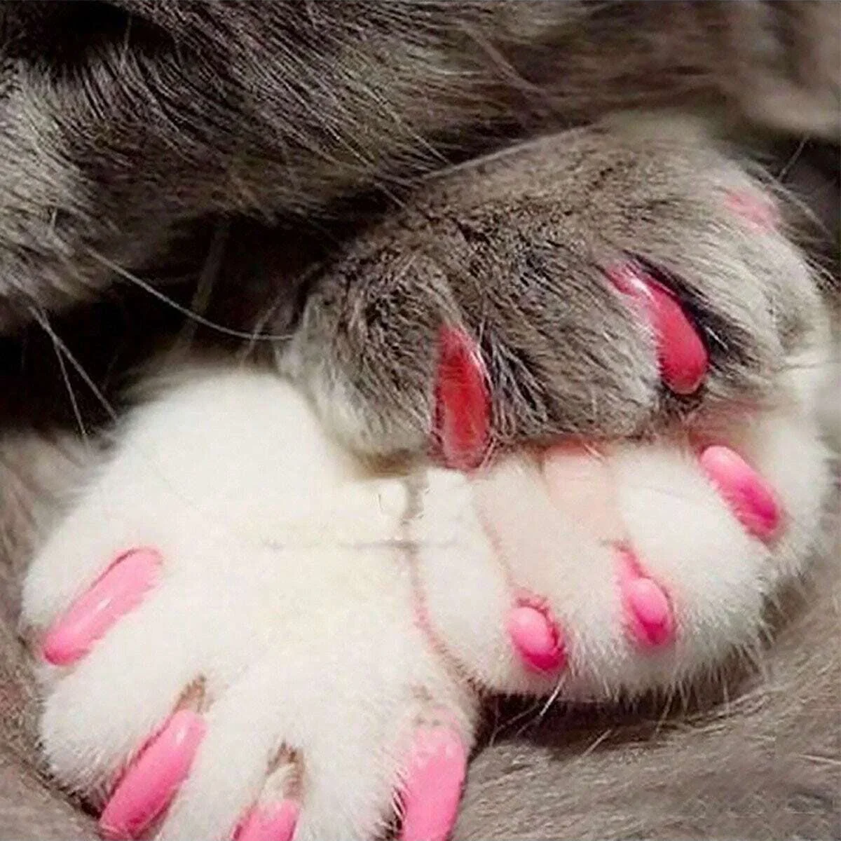 20pcs Random Color Pet Nail Covers Cat Nail Claw Cover Grooming Supplies