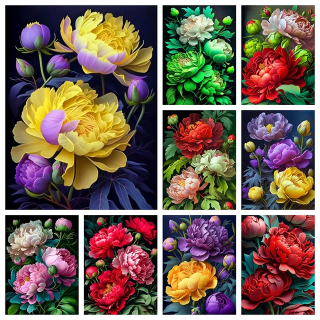 MomoArt DIY Diamond Painting Colorful Peony Needlework Mosaic