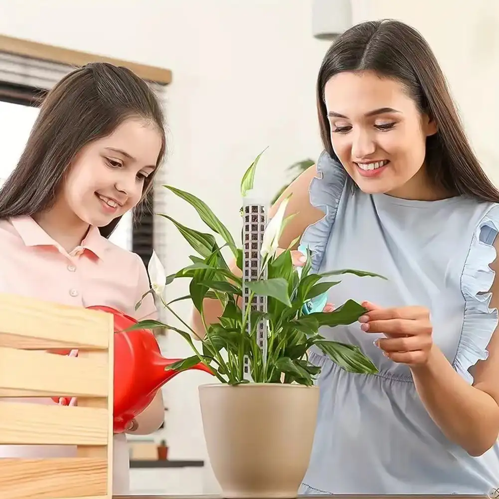 Plant Moss Poles Support Plastic Transparent Reusable Indoor Potted Sticks Train Creeper Plant To Grow Upward for Home Garden