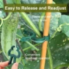 10/100pcs Plant Fixed Clips Reusable Garden Greenhouse Bracket Garden Plants Vine Climbing Clamp Flower Tomato Support Fastener 4