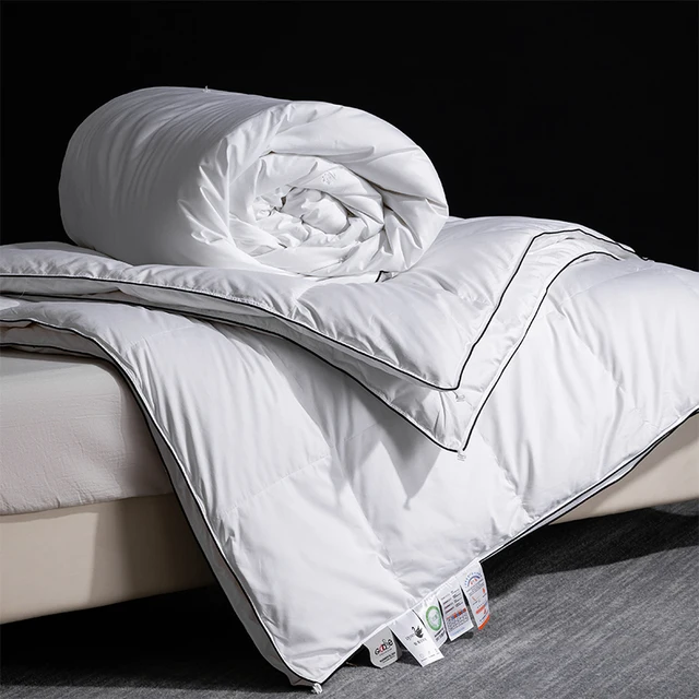Couette 95% duvet d'oie de Sibérie et couette 100 % soie faite à la main – Ultra moelleuse et respectueuse de la peau, 240 x 260 cm 4
