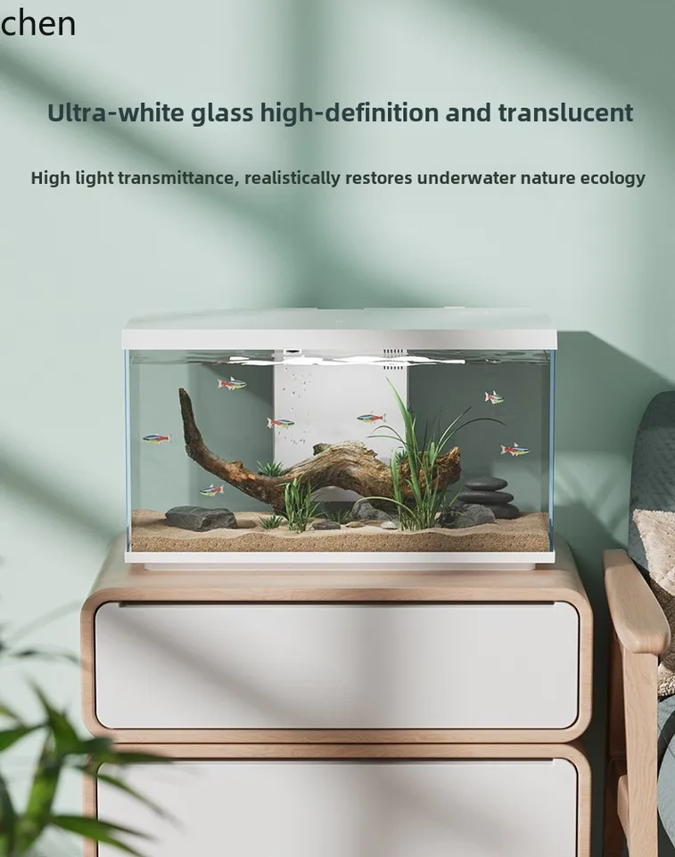 ZML ガラス水槽ホーム造園リビングルームデスクトップ生態水なし