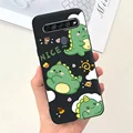 Case-c52