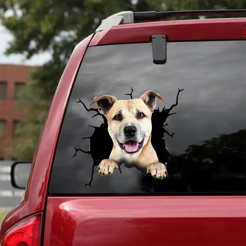 American Staffordshire Terrier Sticker Versie 3 - Hondensticker Autosticker - Duurzaam & Wasbaar