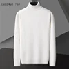 Men's Casual Slim Fit Basic Tops Long Sleeve Knitted Streetwear Lightweight Turtleneck Pullover Sweater Solid Color Sweater Men 1