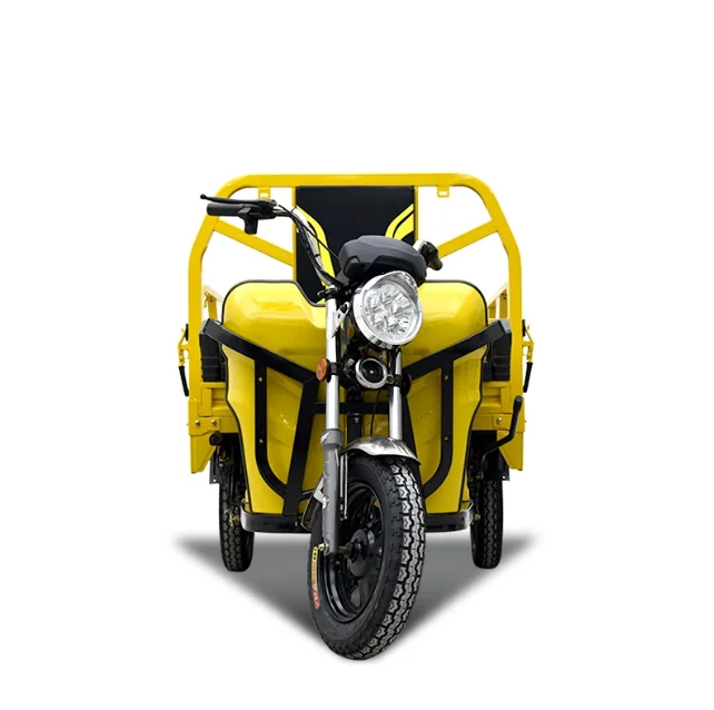 Electric Cargo Tricycle with Multiple Color Options in stock