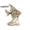 Angelfish