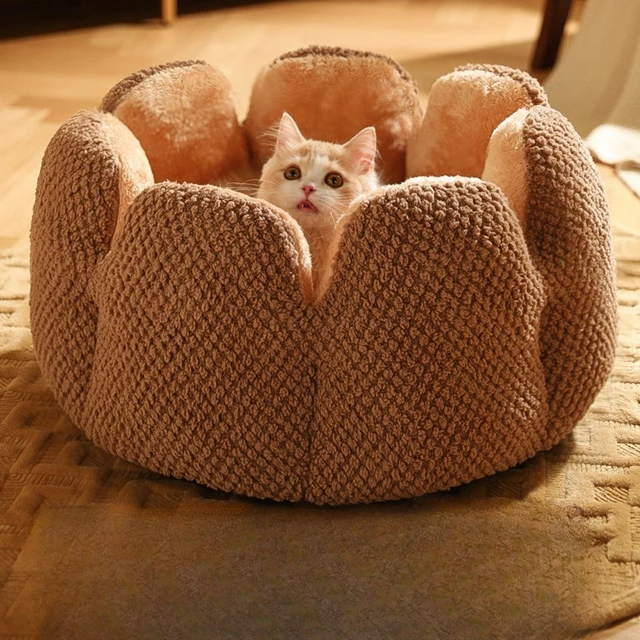 Nest Cactus Petal Shaped Cat Bed 6