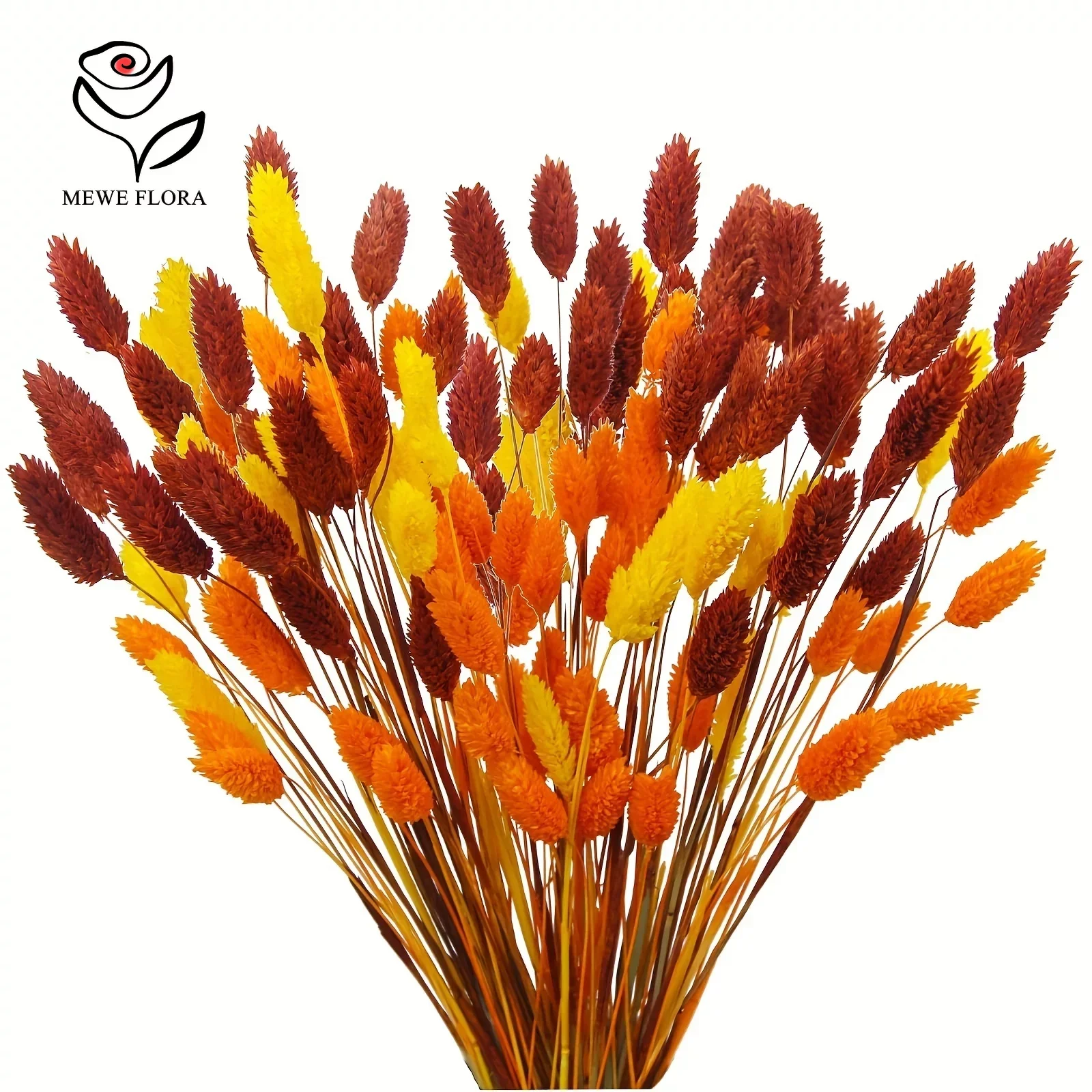 

60Pcs Natural Dried Flower Jewelry Grass Bouquet Boho Home Vase Decor Preserved Flowers Phalaris Wedding Christmas Decoration