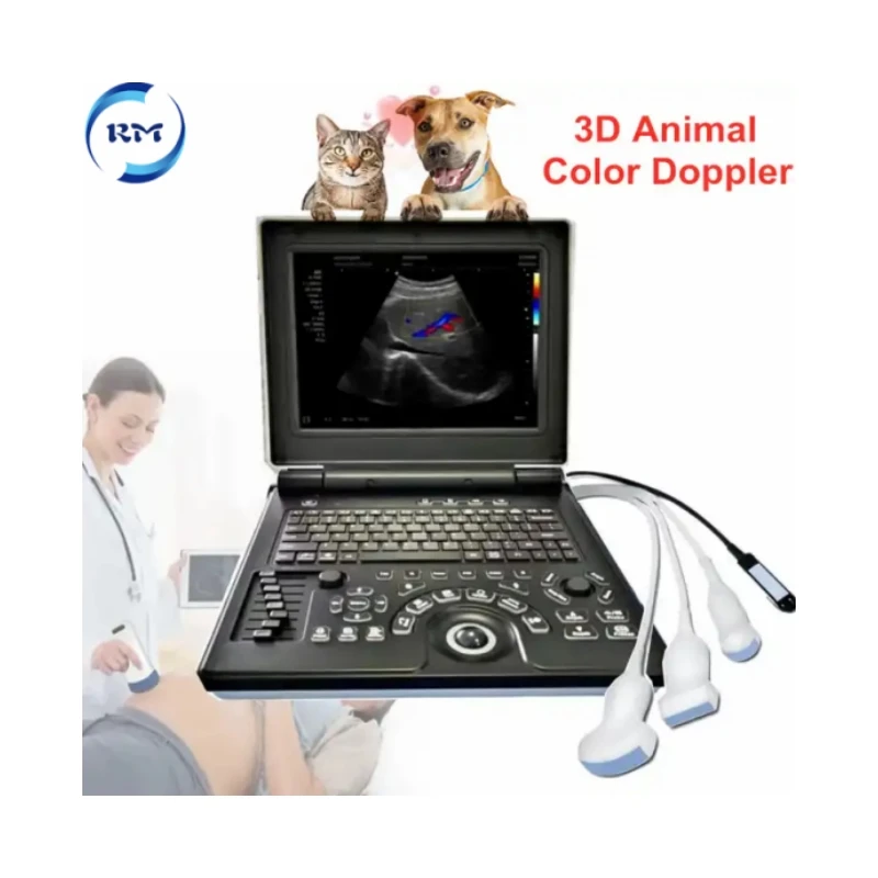 

Rayman VET Veterinary Digital Ultrasonic Diagnostic Imaging System Portable Laptop Color Ultrasound Machine