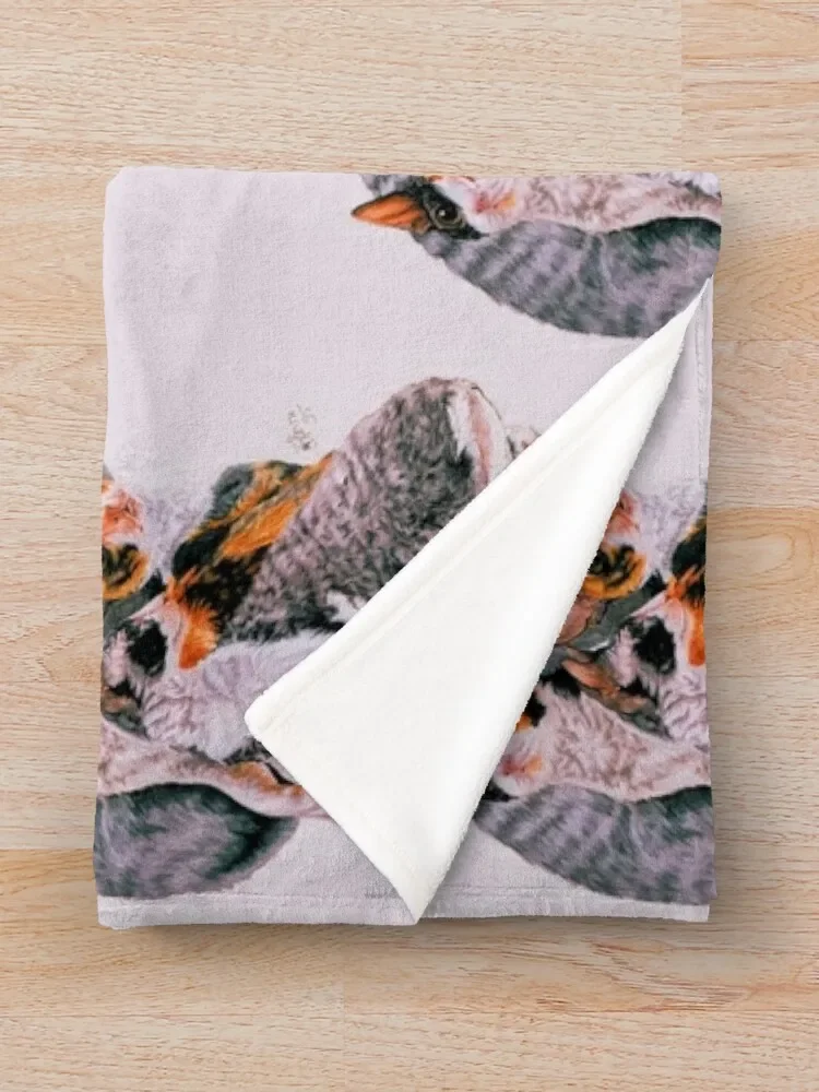 �ܴϽ� ���� ��� ������ ���, �ε巯�� �÷��� ���� ����, �Ϳ��� ���� ����, �Ƹ��ٿ� ���