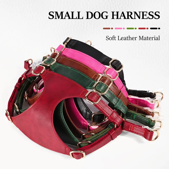PU Leather Dog Harness Leash Set Dog Cat Chest Strap Traction 5ft Rope Walking Vest Harness for Small Medium Dogs Pet Supplies 3