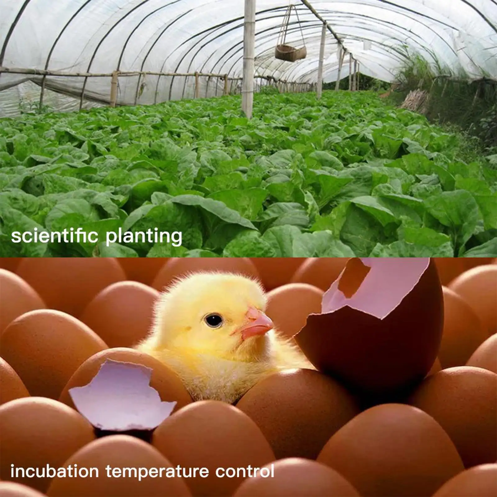 Slide image b996bbb2c0274422b9503041594a20d6