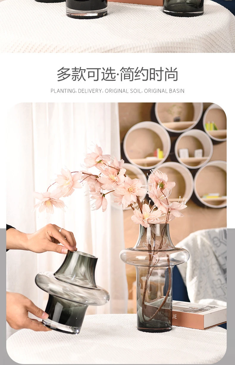 Description Picture 3 of itemHome Decor Antique Vase Living Room Decoration Glass Vase Ornaments Dried Flowers and Hydroponic Vases