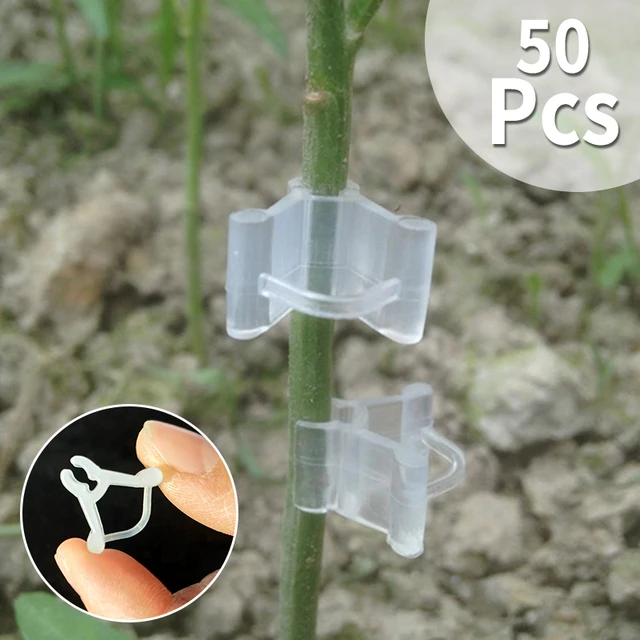 50Db Virág Ágak Oltó Klip Szőlő Rögzítőelemek Bilincs Palánták Műanyag Növények Támogató Klipek Kerti Kellékek - Image 3