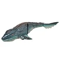 Sturgeon