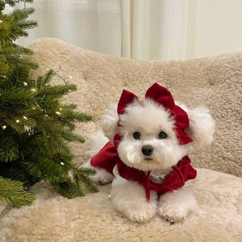 Thick Warm Fleece Hoodie for Pets, Matching Colors, Winter Clothing, Cats and Dogs, New, , Spring