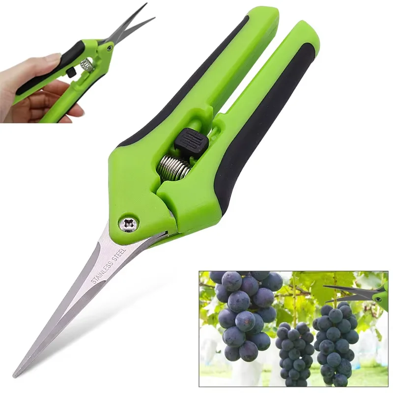 6.5 Inch Gardening Scissors Pruning Shears