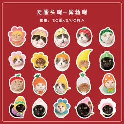 Kawaii Cat Stickers Set - Aesthetic & Cute Designs for Stationery, Laptops, Journals, and Scrapbooks (01)