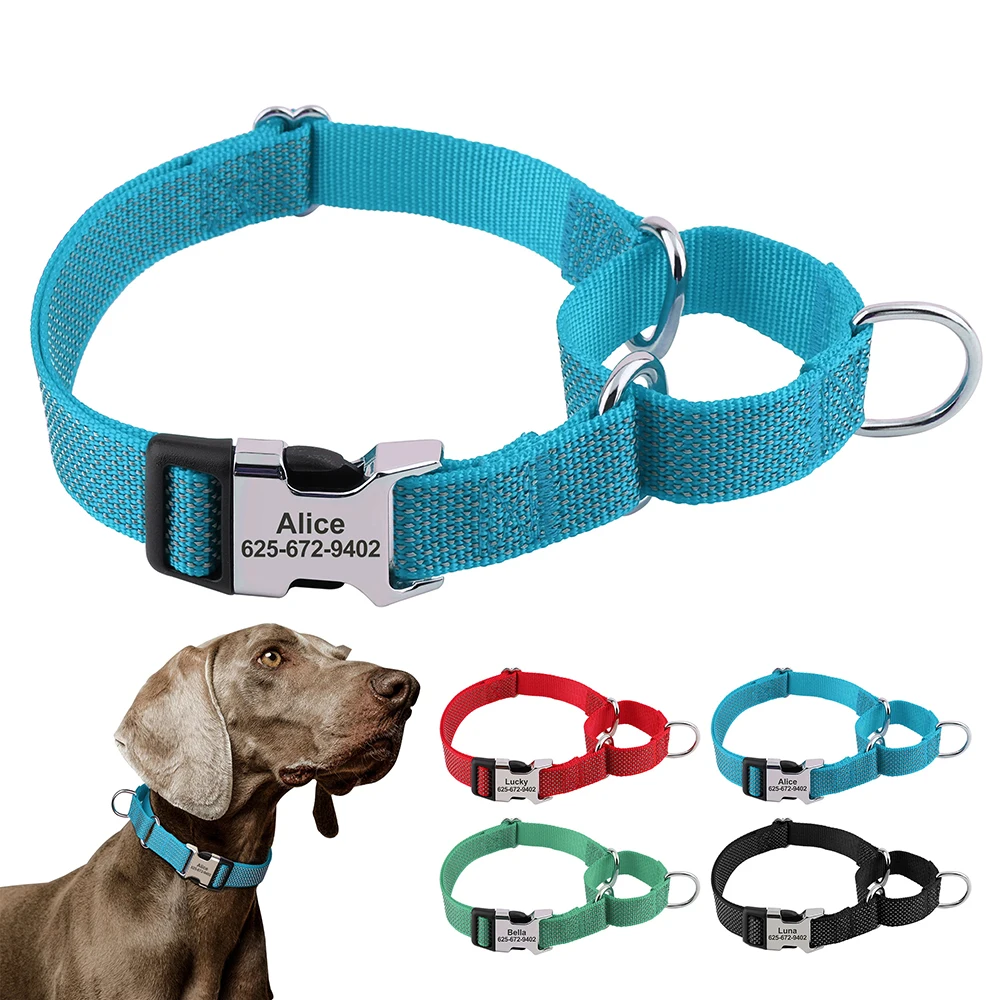 Custom Martingale Dog Collar 1